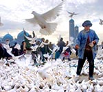 امکان وضرورت های صلح
